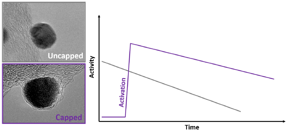 Activité de nanoparticules encapsulées
