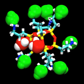 Molecular Dynamics