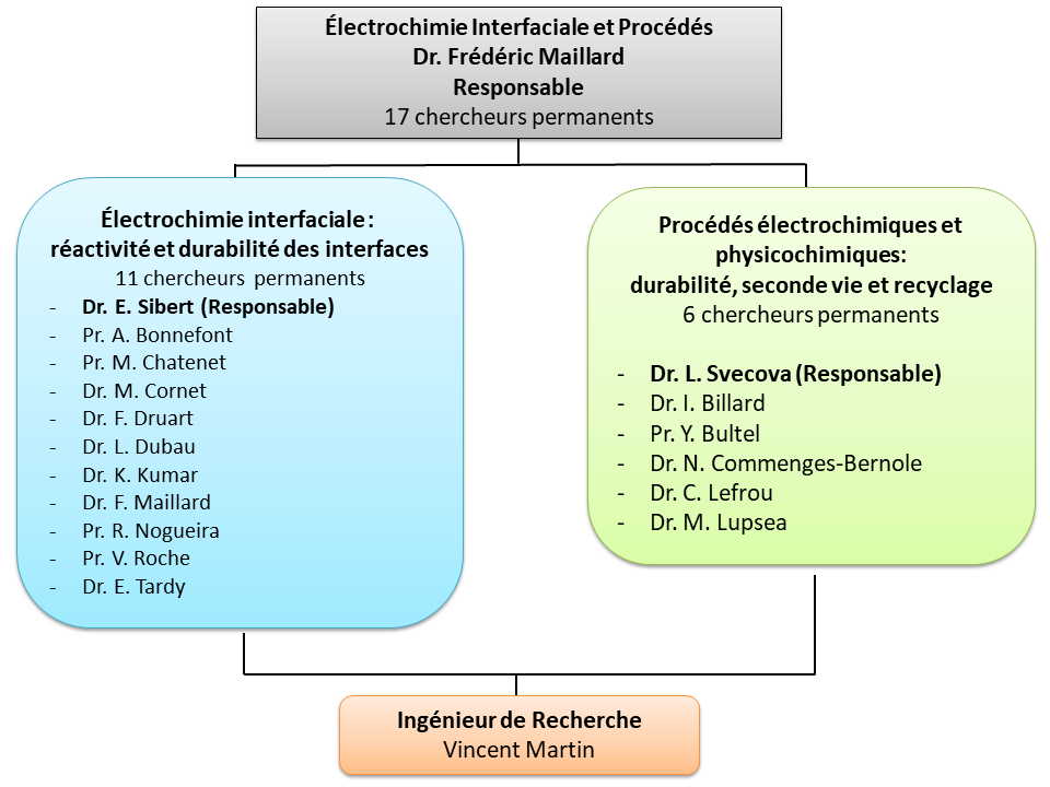 Organigramme de l'équipe EIP
