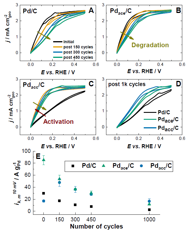 Activité de nanoparticules encapsulées
