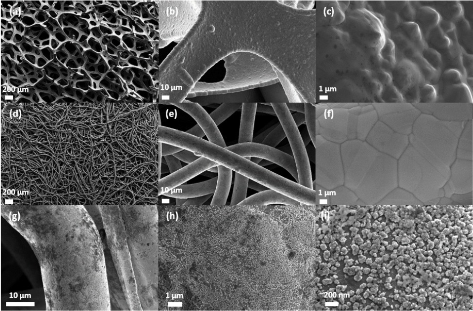 SEM images of Ni electrodes for BOR