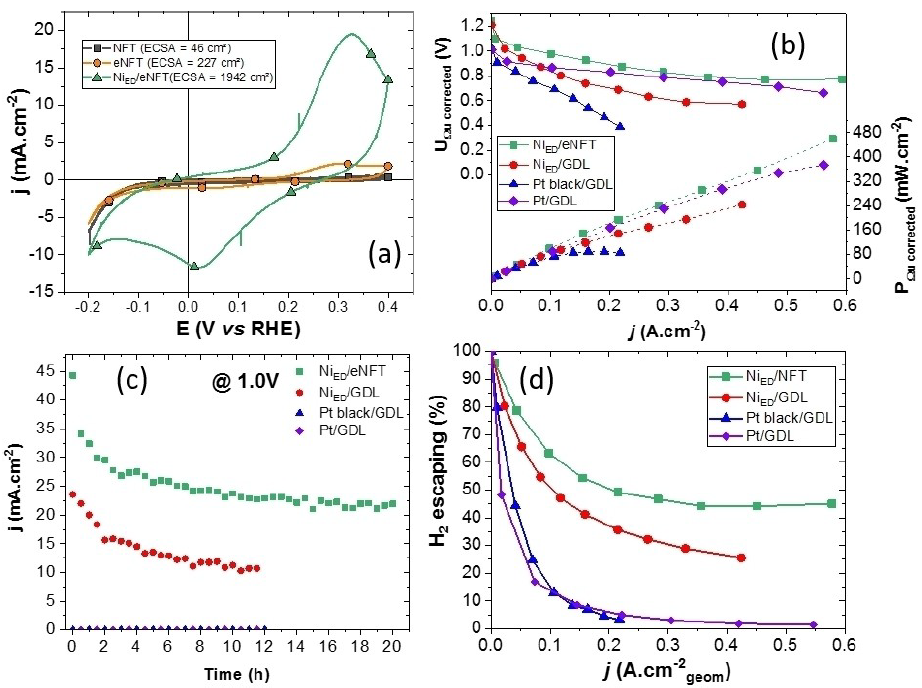 Tests on Direct Borane Fuel Cells electrodes